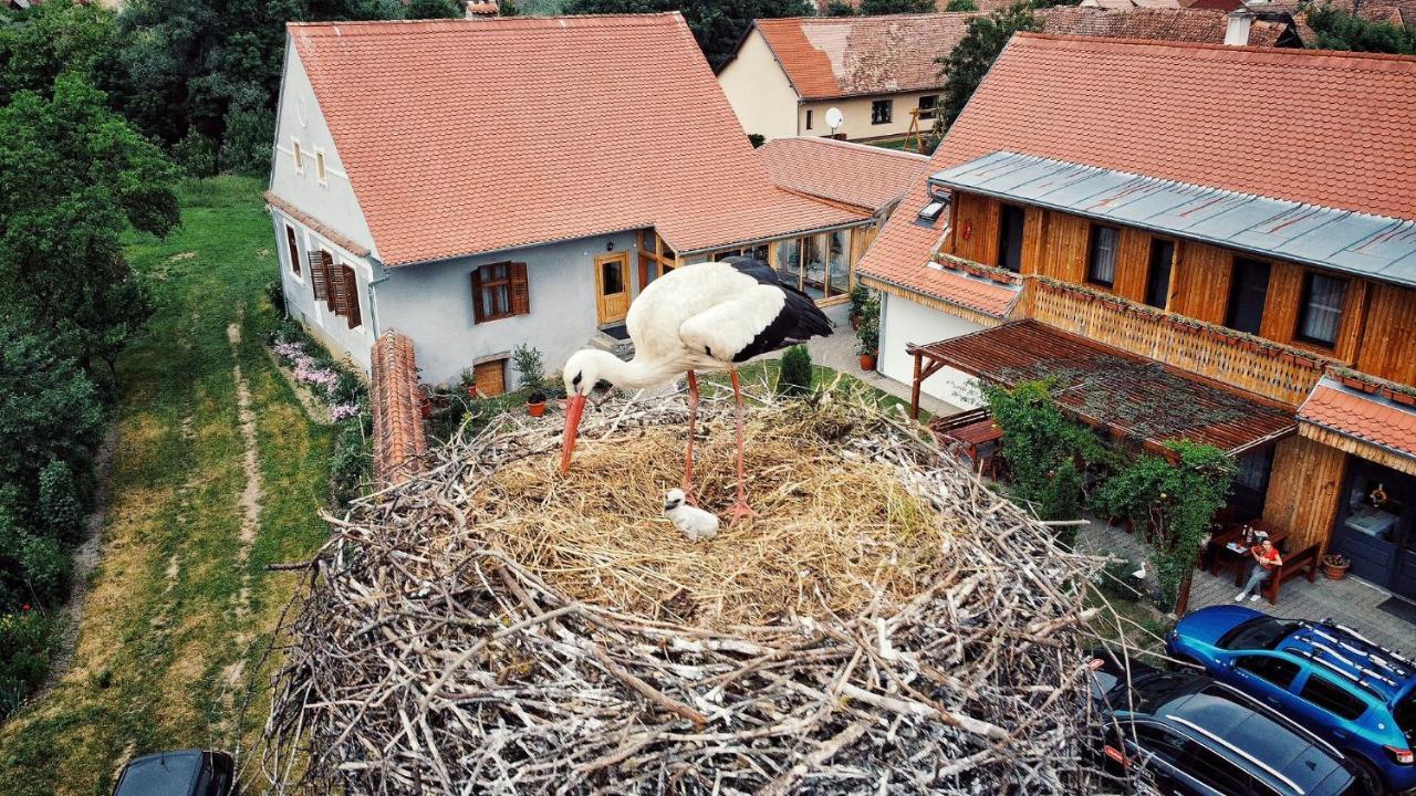 Pensiunea Keisd Saschiz Exterior photo