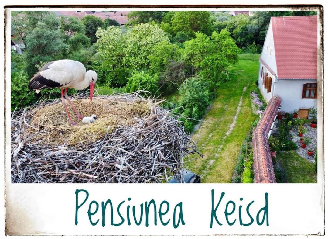 Pensiunea Keisd Saschiz Exterior photo