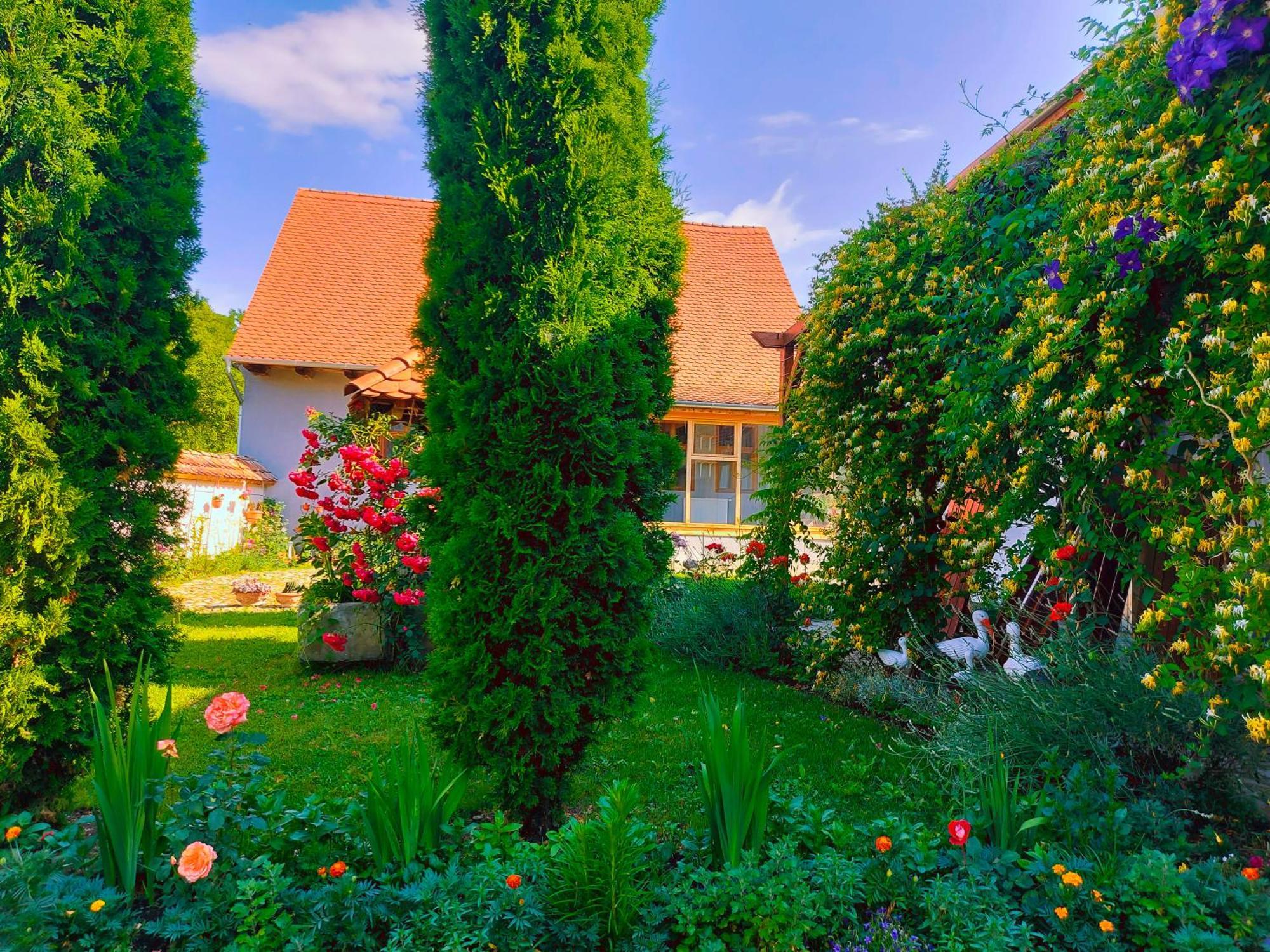 Pensiunea Keisd Saschiz Exterior photo