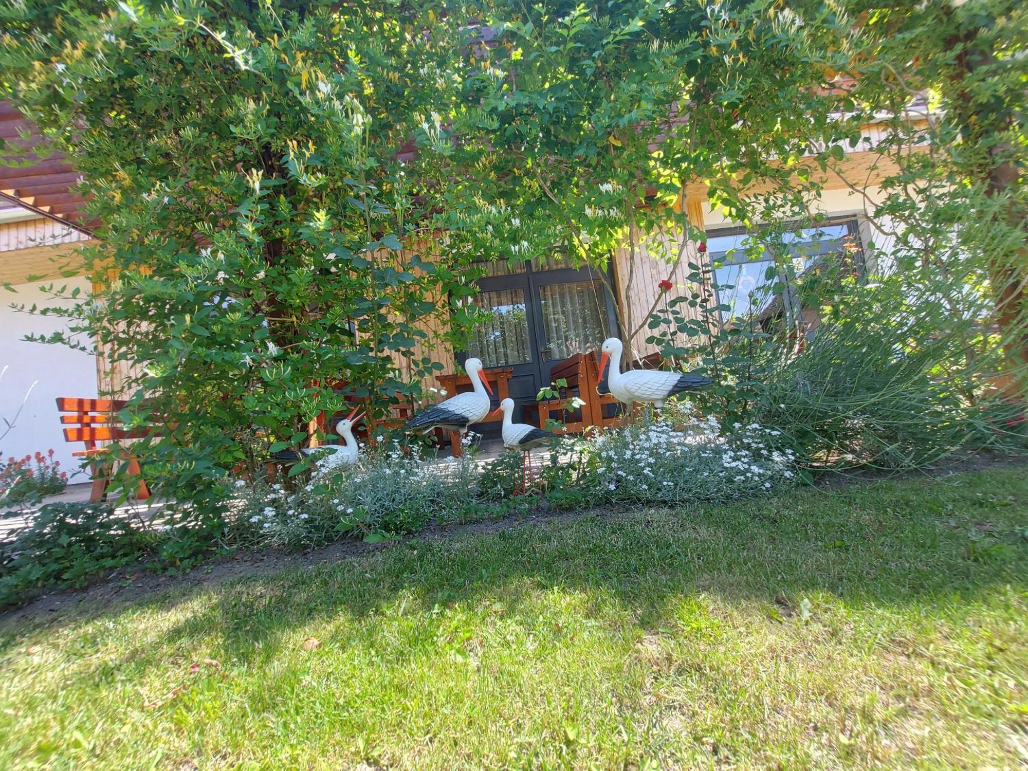 Pensiunea Keisd Saschiz Exterior photo